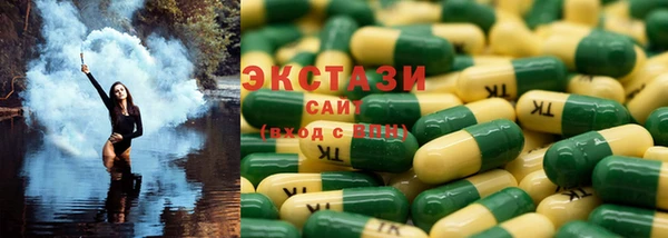 крисы Надым