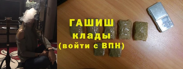 крисы Надым