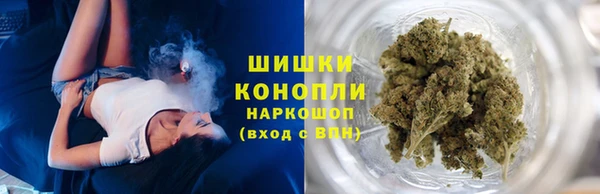 крисы Надым