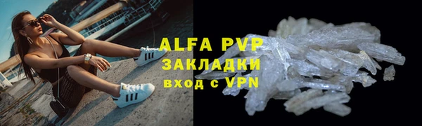 крисы Надым