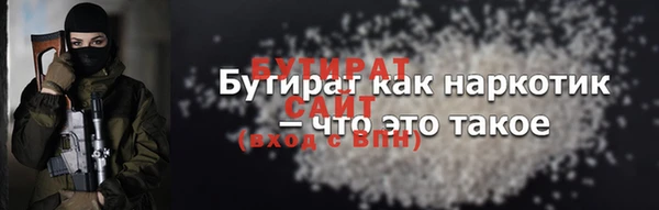 крисы Надым