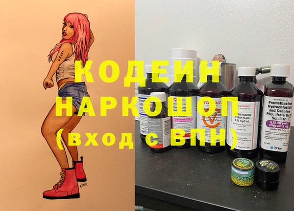 крисы Надым