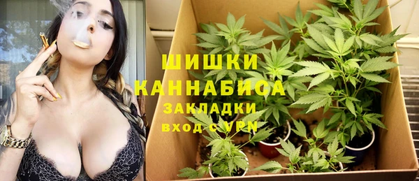 крисы Надым