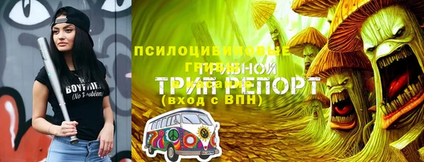 крисы Надым