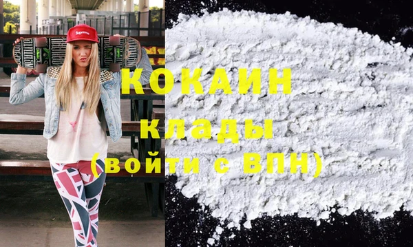 крисы Надым