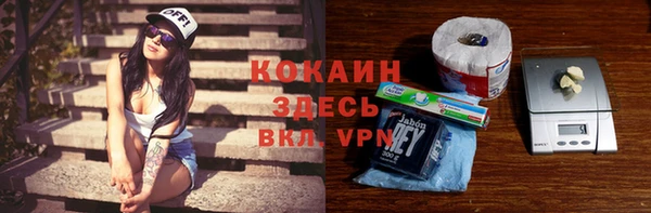 крисы Надым