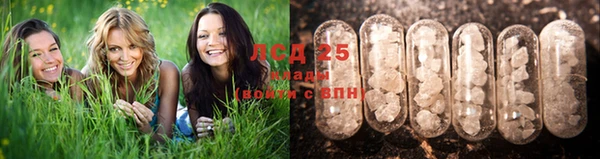 крисы Надым