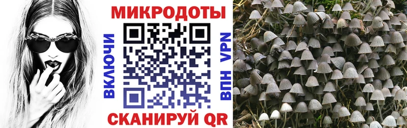 Купить закладки  Осинники  Псилоцибиновые грибы GOLDEN TEACHER 